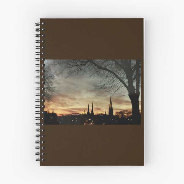Item preview, Lübeck skyline in the evening designed and sold by nicwoodart.