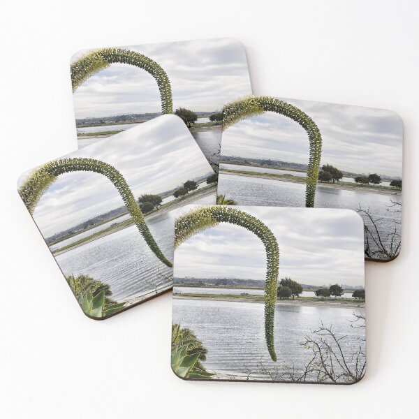 Item preview, Swan’s Neck Agave at Sail Bay designed and sold by Kimberly Palmer.