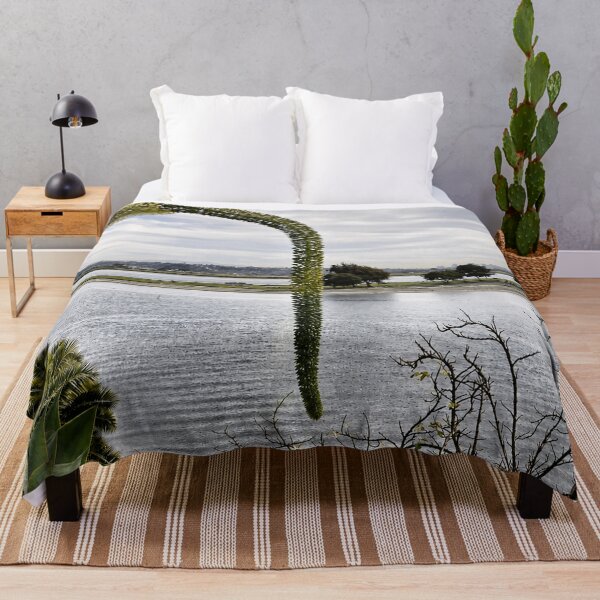 Item preview, Swan’s Neck Agave at Sail Bay designed and sold by Kimberly Palmer.