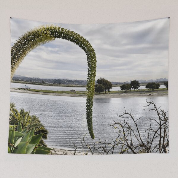 Item preview, Swan’s Neck Agave at Sail Bay designed and sold by Kimberly Palmer.