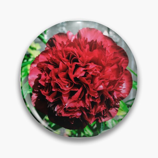 Item preview, A ‘peony rose’  designed and sold by Tom McPherson Photography.
