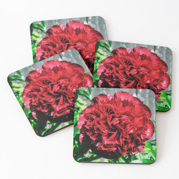 Item preview, A ‘peony rose’  designed and sold by Tom McPherson Photography.