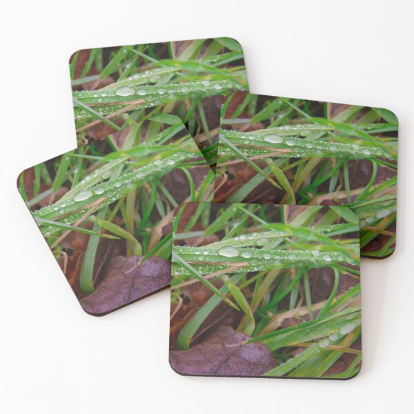 Item preview, Close-up of Fresh Morning Dew Drops designed and sold by ShotsbyDesiree.