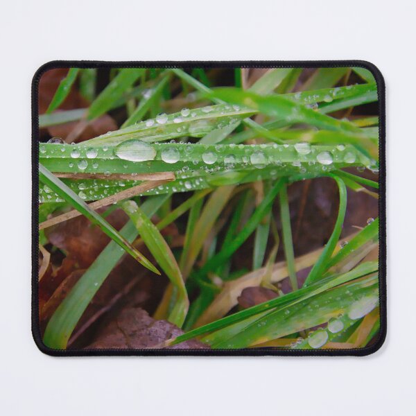 Item preview, Close-up of Fresh Morning Dew Drops designed and sold by ShotsbyDesiree.