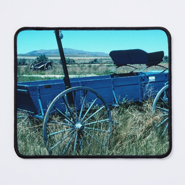 Item preview, Manure Spreader Farm Wagon, Late 19th Century, Promontory, Utah designed and sold by AMacGPhilly.