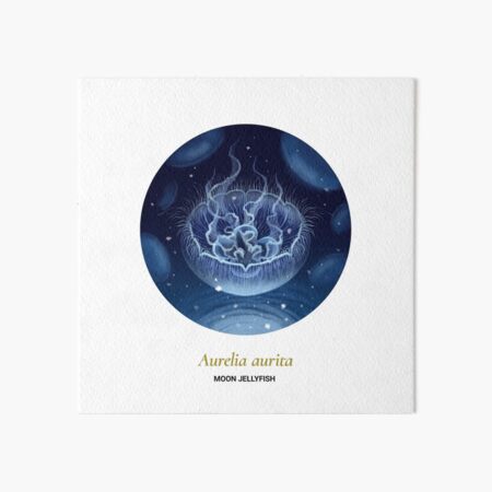 The Circles of Life: Moon Jellyfish Art Board Print