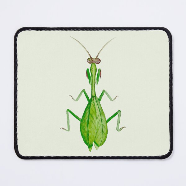 Item preview, Praying mantis - hand-painted with watercolor. designed and sold by Greitas.