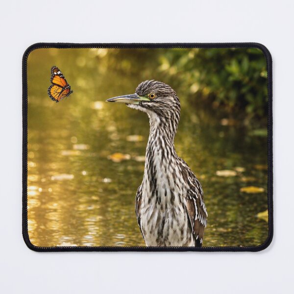 Item preview, Golden Hour Encounter designed and sold by Kimberly Palmer.