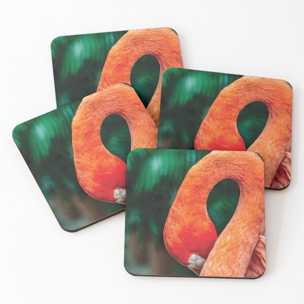 Item preview, Shy Flamingo designed and sold by Kay Brewer.