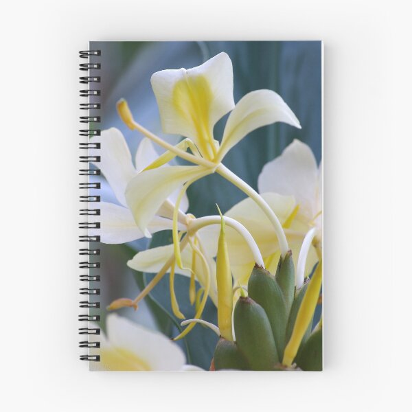 Item preview, Yellow Butterfly Ginger Lily designed and sold by Kerryn Madsen-Pietsch.
