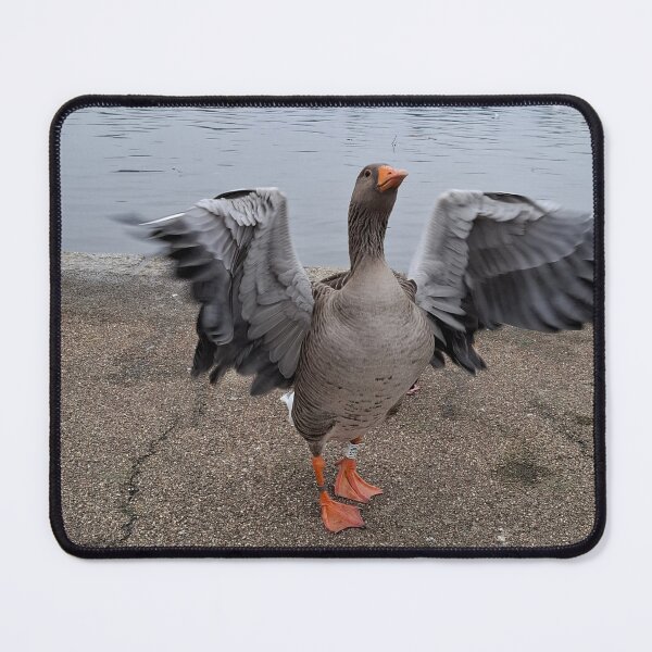 Item preview, Bird spreading its wings designed and sold by els-art3.