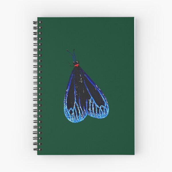 Item preview, Pompelon Marginata Moth designed and sold by crystallinesoup.