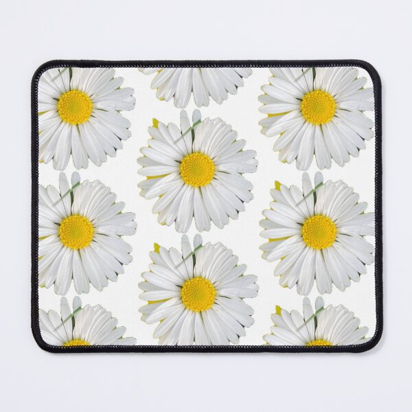 Item preview, Isolated Daisy Flower Head Close Up Top View on Transparent Background designed and sold by BalkanBloom.