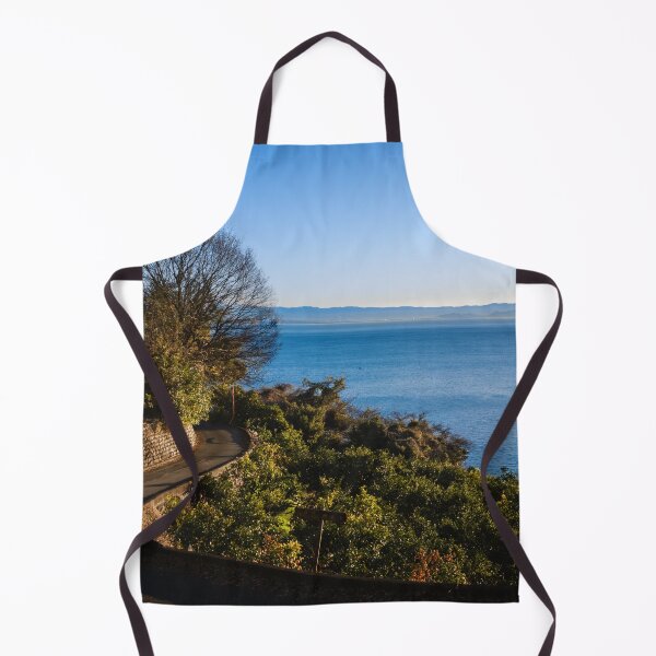 Item preview, Winding Coastal Road Leading to Suruga Bay at Sunrise near Satta-Toge Pass, Japan designed and sold by Pix4Japan.