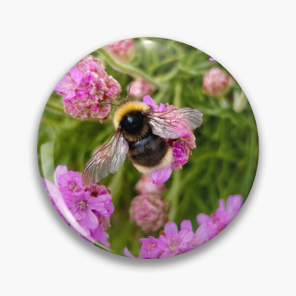 Item preview, Bumblebee in Scotland designed and sold by WanderingBeach7.