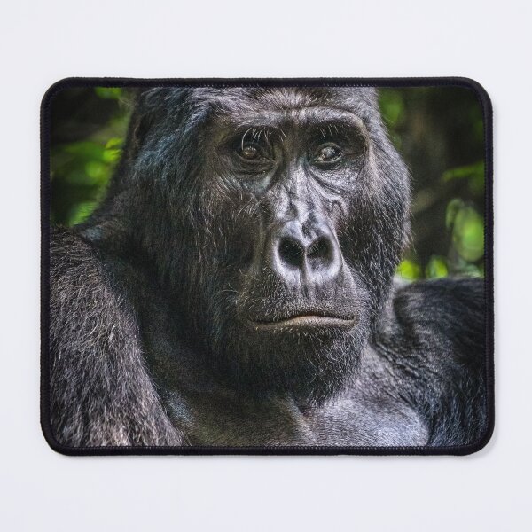 Item preview, Rwandan Gorilla portrait designed and sold by angieblue-25.