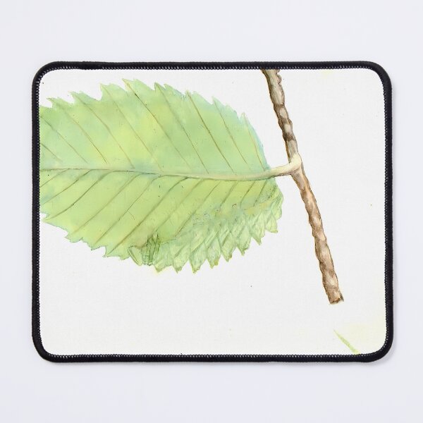 Item preview, Jagged Leaf Caterpillar | Insect Art designed and sold by GammaRay.