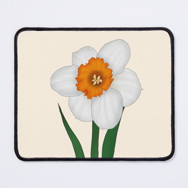Item preview, Barrett Browning Daffodil  designed and sold by Floralfusion.