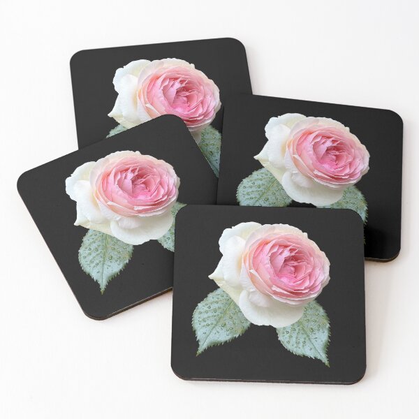 Item preview, Gorgeous powder pink rose  designed and sold by PariSeine.