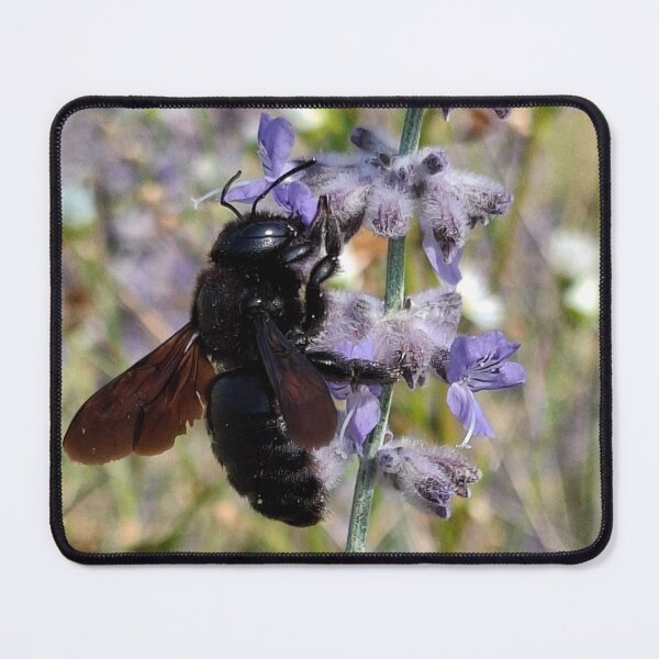 Item preview, Collecting pollen designed and sold by els-art3.