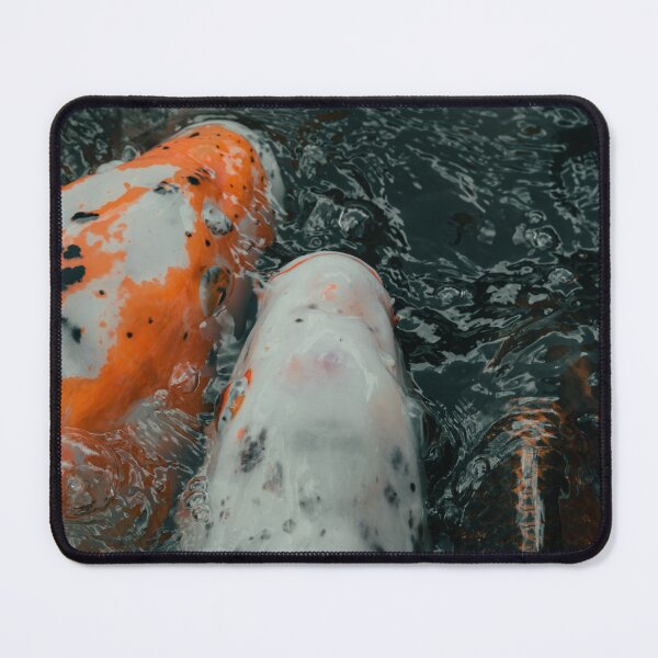 Item preview, Cinematic Koi Fish Pond Photography designed and sold by Mutezone.