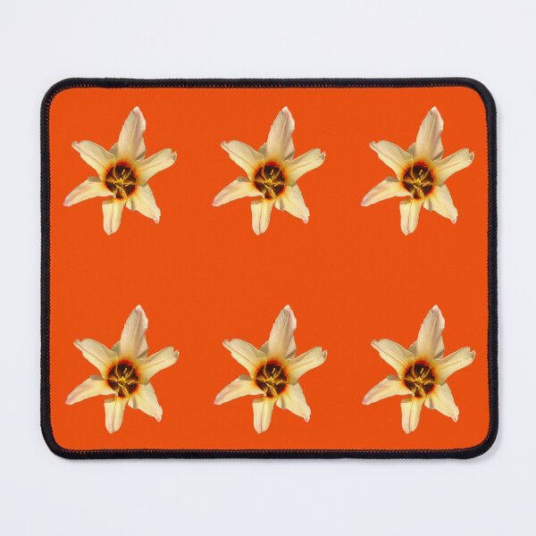 Item preview, Water lily tulip designed and sold by PariSeine.