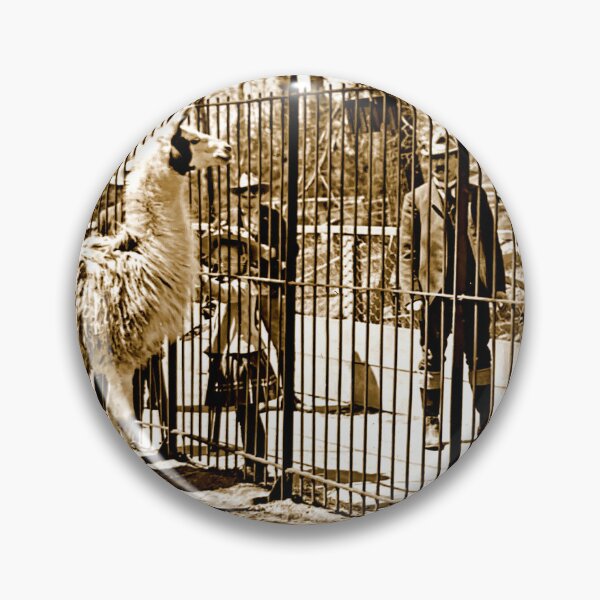Item preview, Philadelphia, Pennsylvania, November 8, 1901, Zoological Garden Visitors at Llama Enclosure designed and sold by AMacGPhilly.