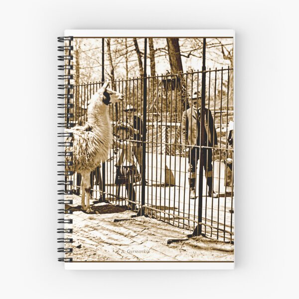 Item preview, Philadelphia, Pennsylvania, November 8, 1901, Zoological Garden Visitors at Llama Enclosure designed and sold by AMacGPhilly.