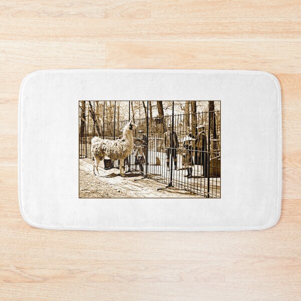 Item preview, Philadelphia, Pennsylvania, November 8, 1901, Zoological Garden Visitors at Llama Enclosure designed and sold by AMacGPhilly.
