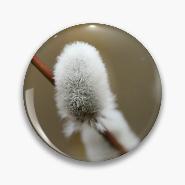 Item preview, Softness. Willow catkins 2026 designed and sold by Jouko Lehto Photography.