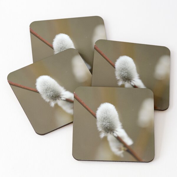 Item preview, Softness. Willow catkins 2026 designed and sold by Jouko Lehto Photography.