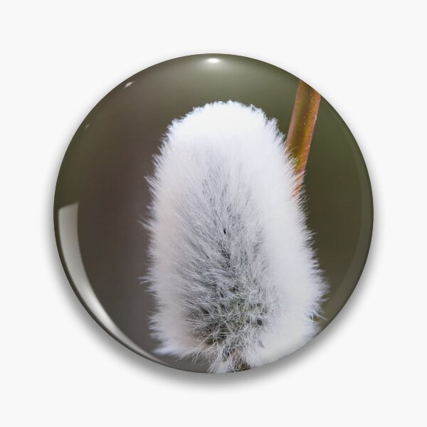 Item preview, Springtime flowers. Willow catkins 2026 designed and sold by Jouko Lehto Photography.