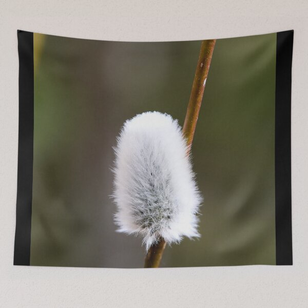 Item preview, Springtime flowers. Willow catkins 2026 designed and sold by Jouko Lehto Photography.