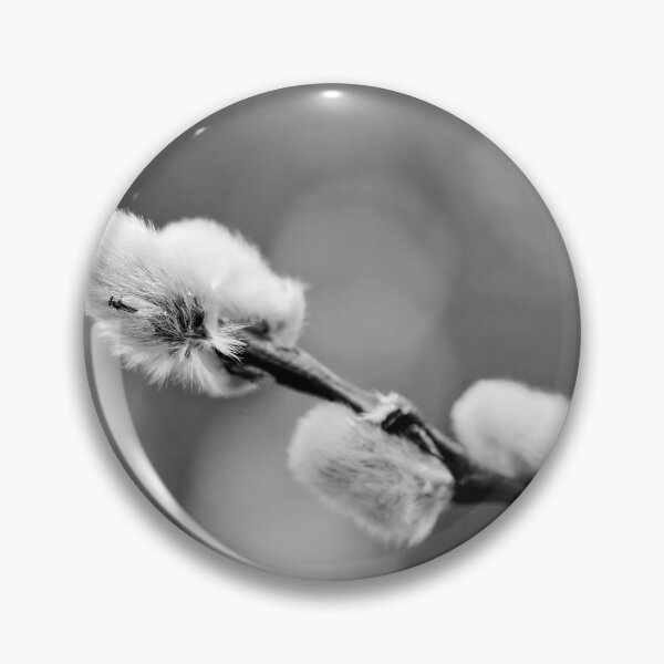 Item preview, Landed on soft. Willow catkins 2026 bw designed and sold by Jouko Lehto Photography.