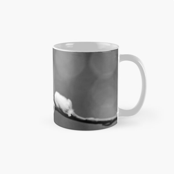 Item preview, Landed on soft. Willow catkins 2026 bw designed and sold by Jouko Lehto Photography.