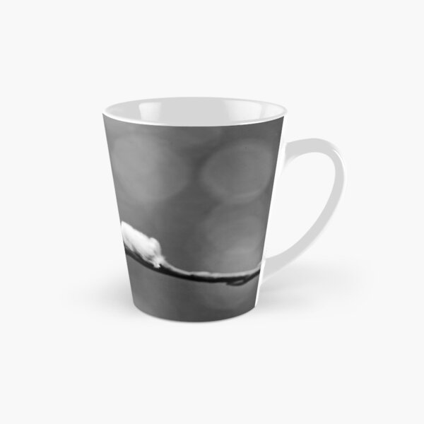 Item preview, Landed on soft. Willow catkins 2026 bw designed and sold by Jouko Lehto Photography.