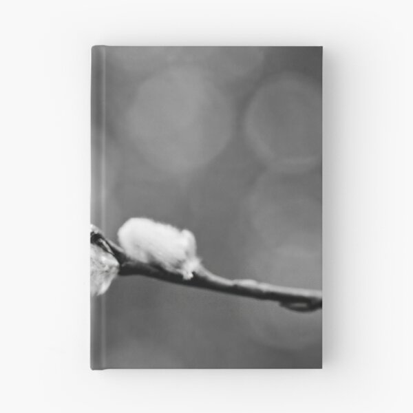 Artikelvorschau, Landete auf weichem Boden. Weidenkätzchen 2026, schwarz-weiß entworfen und verkauft von Jouko Lehto Photography.