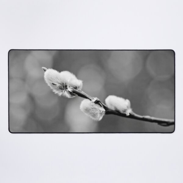 Item preview, Landed on soft. Willow catkins 2026 bw designed and sold by Jouko Lehto Photography.