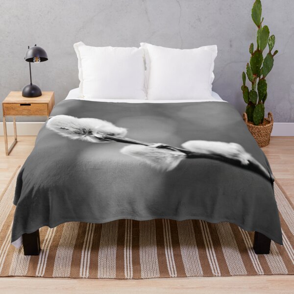 Item preview, Landed on soft. Willow catkins 2026 bw designed and sold by Jouko Lehto Photography.