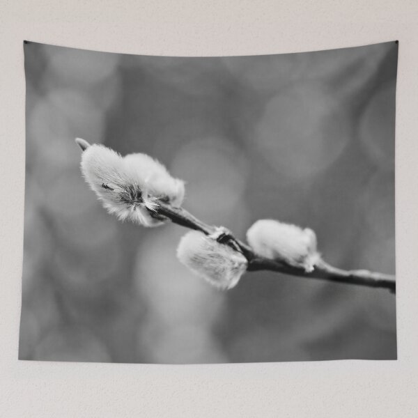 Item preview, Landed on soft. Willow catkins 2026 bw designed and sold by Jouko Lehto Photography.
