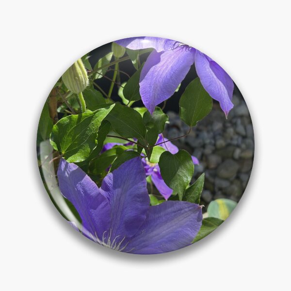Item preview, Beautiful Clematis designed and sold by laurierox.
