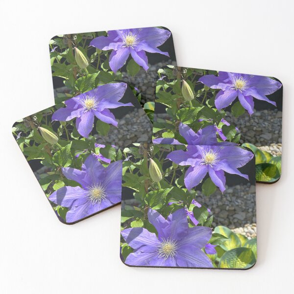 Item preview, Beautiful Clematis designed and sold by laurierox.