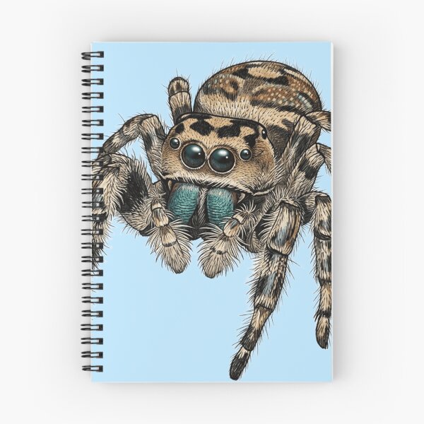 Item preview, Jumping Spider designed and sold by The King's general goods.
