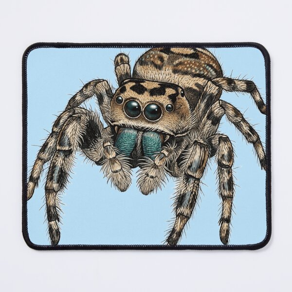 Item preview, Jumping Spider designed and sold by The King's general goods.