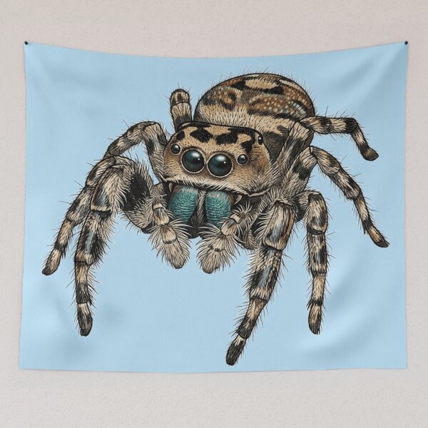 Item preview, Jumping Spider designed and sold by The King's general goods.