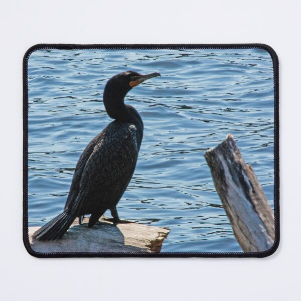 Item preview, Comorant Posing on Driftwood designed and sold by Ruth Curtis.