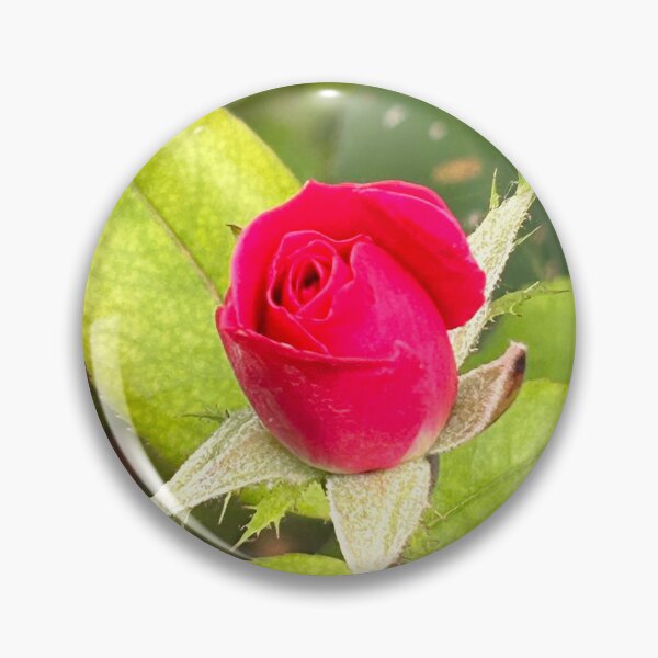 Item preview, Rose Bud designed and sold by laurierox.