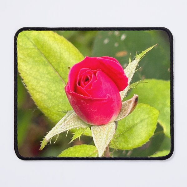 Item preview, Rose Bud designed and sold by laurierox.