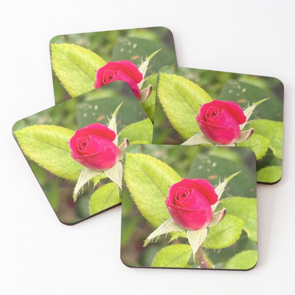 Item preview, Rose Bud designed and sold by laurierox.