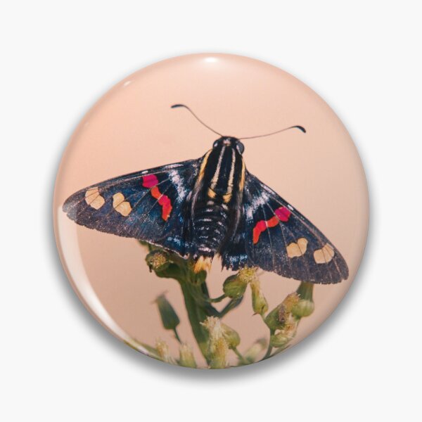 Item preview, Butterfly Mimoniades Versicolor designed and sold by anafrancisconi.